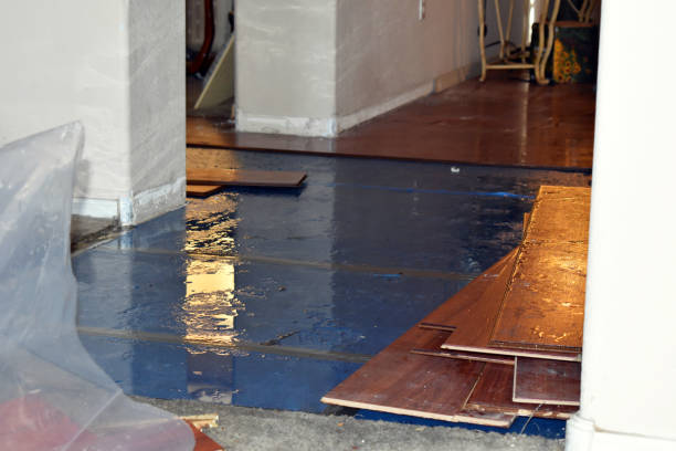 Professional Flood Damage Repair technician working in Bridgeport, MI